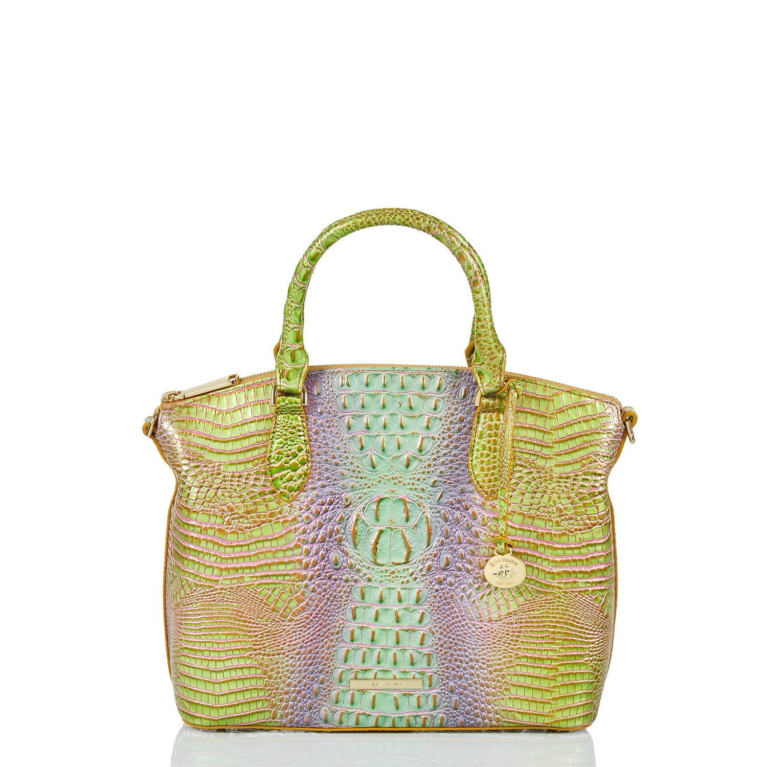 Duxbury Satchel Verbena Ombre Mini Melbourne