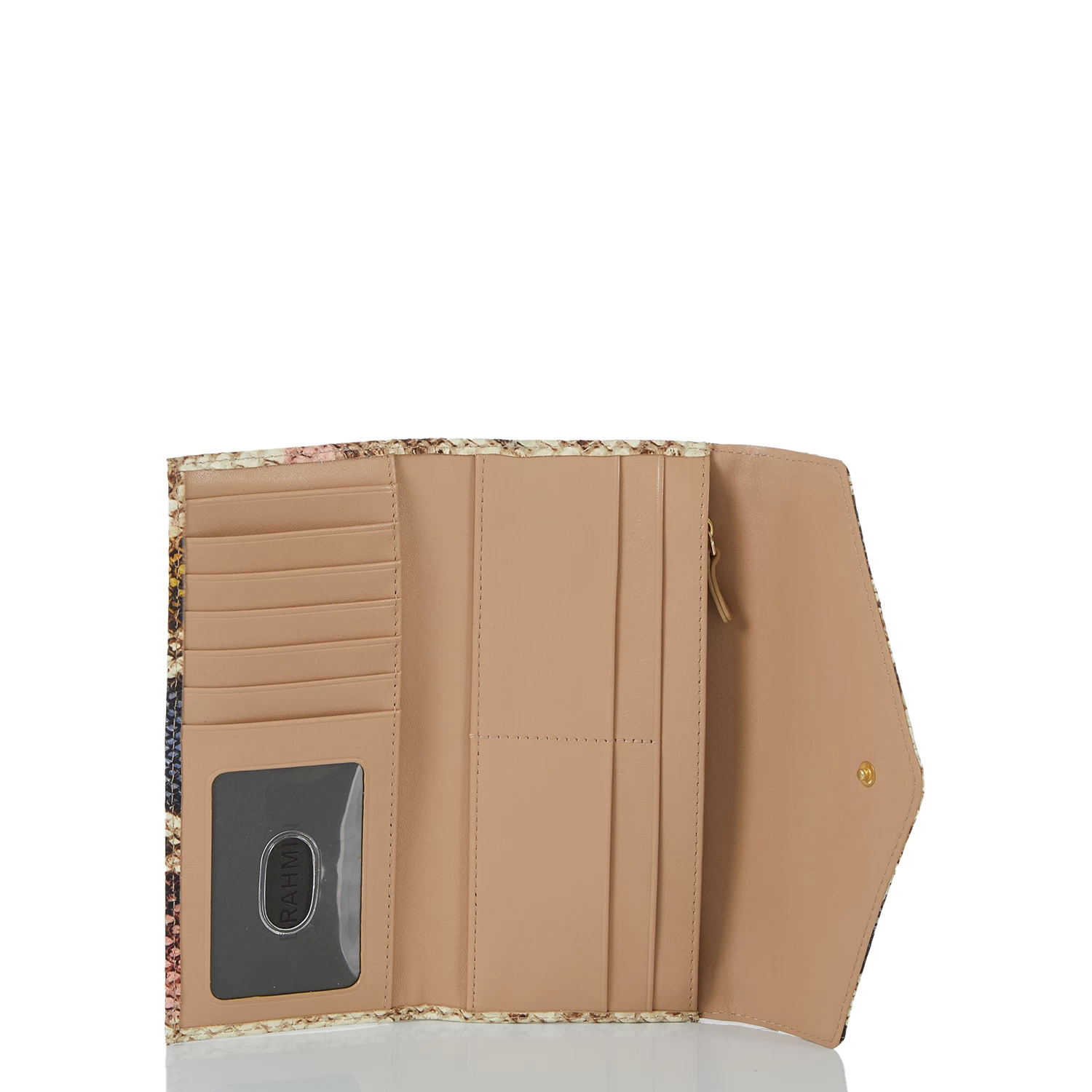 Veronica Multi Caloosa - Image 4