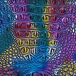 Elaine Spotlight Melbourne - Image 7