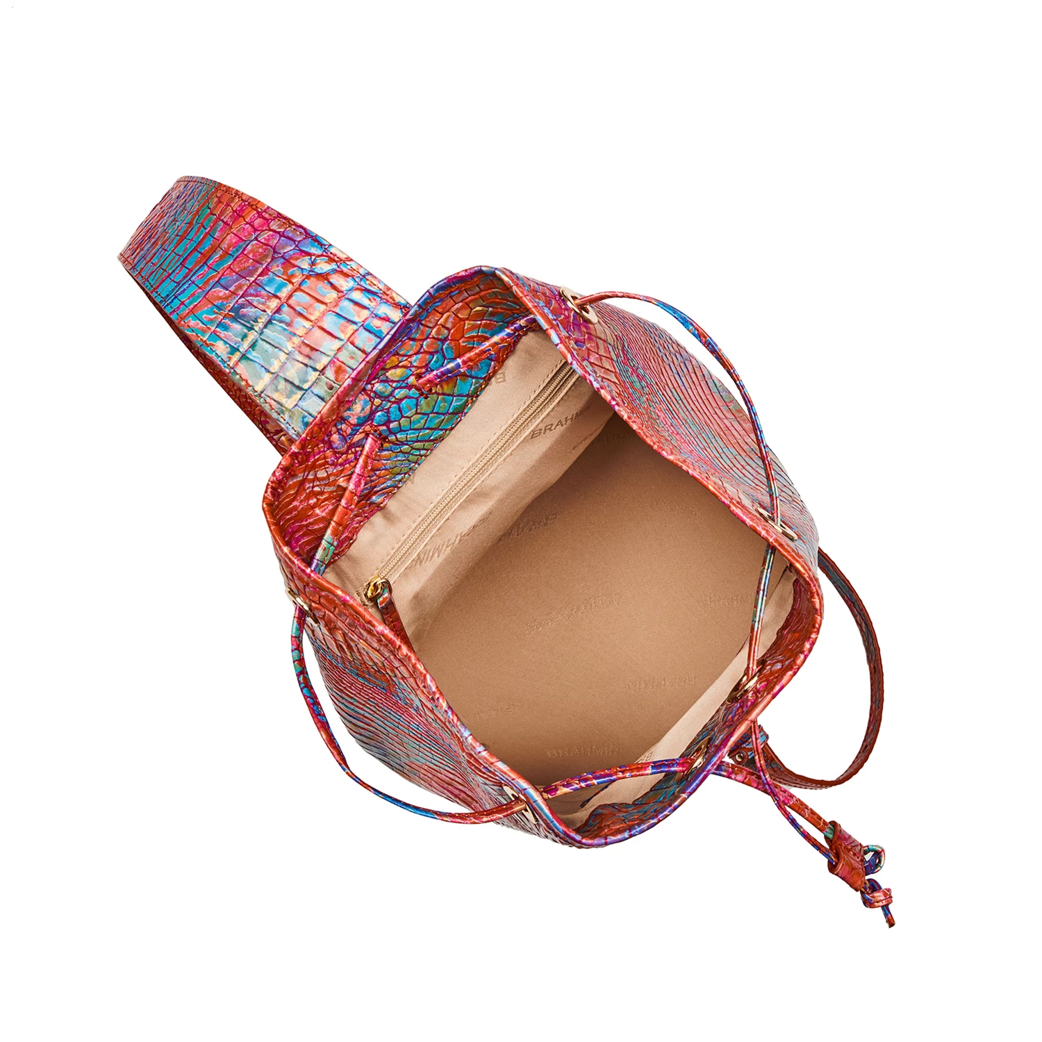 Allie Rainbow Fish Melbourne - Image 4