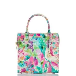 Small Caroline Daylily Melbourne