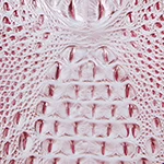 Ashlee Pink Icing Melbourne - Image 6