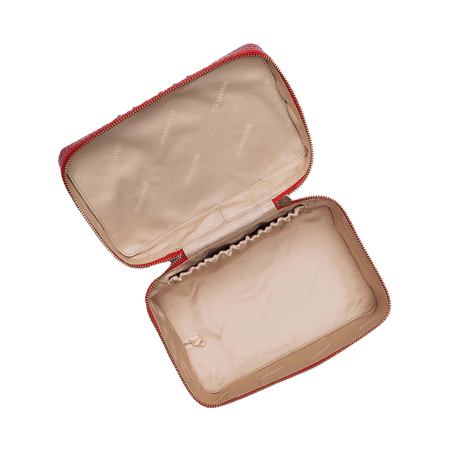 Charmaine Carnation Melbourne - Image 4