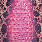 Bekka Pink Cobra Ombre Melbourne - Image 6