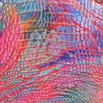 Stacy Rainbow Fish Melbourne - Image 8