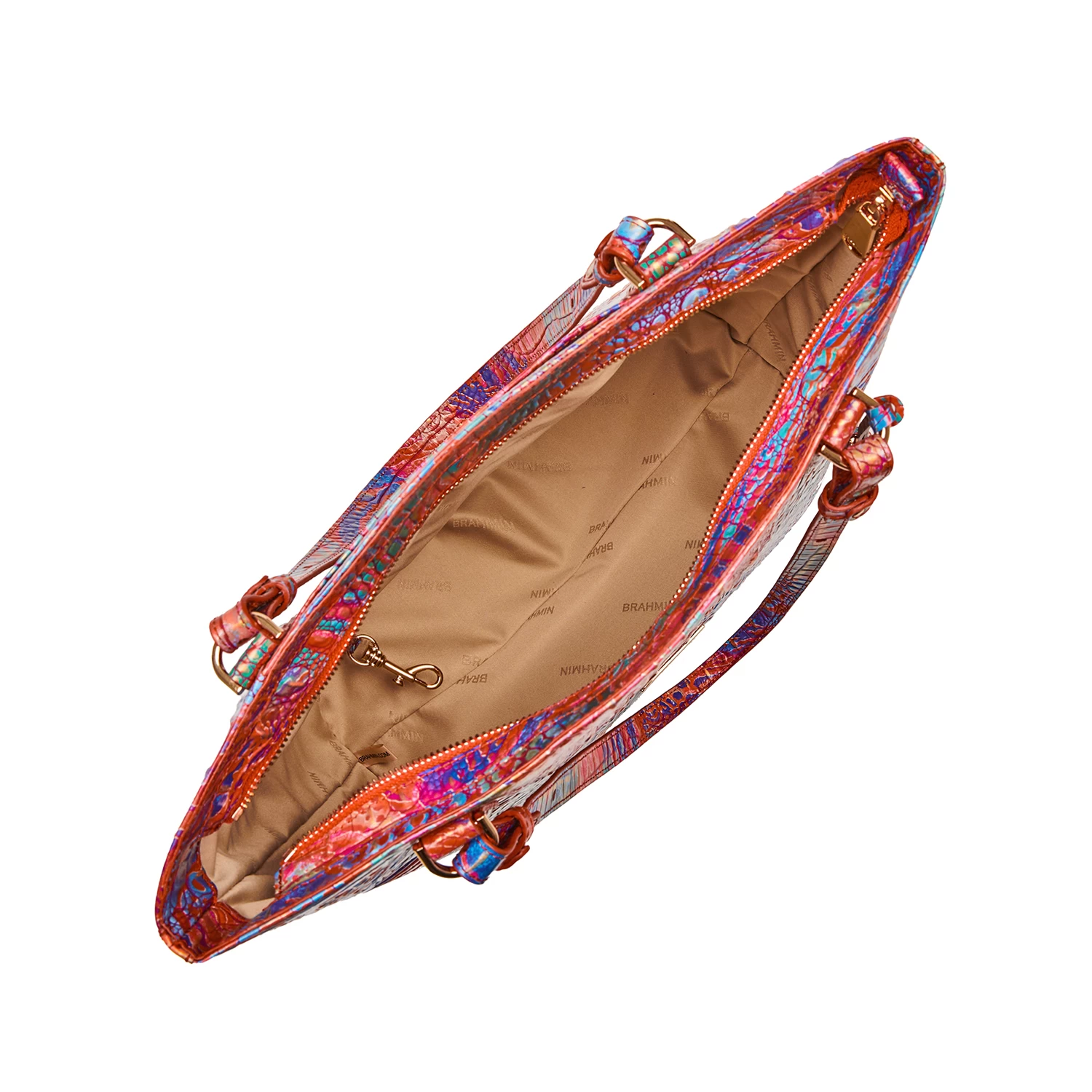 Ezra Rainbow Fish Melbourne - Image 4