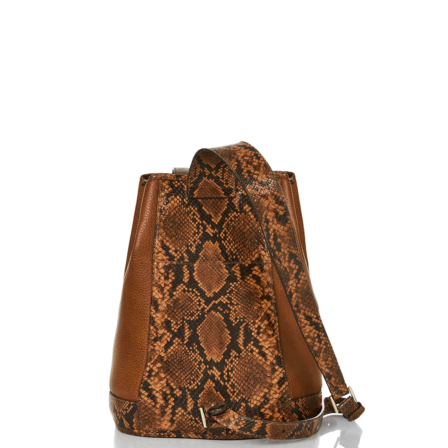 Maddie Cognac Saguaro - Image 3